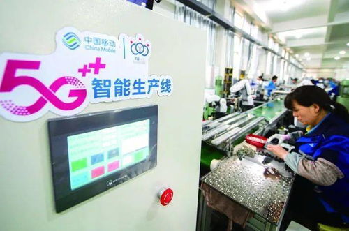 金華工業經濟跑出加速度，網絡技術服務指標全省第一