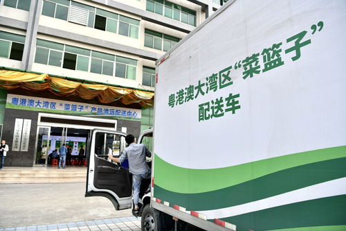 8月第一周，清遠城市配送關鍵詞聚焦“菜籃子”保障力